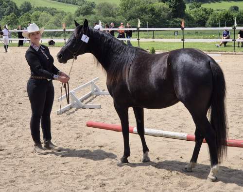 508885184_1248333013423317_2572303847105965968_n